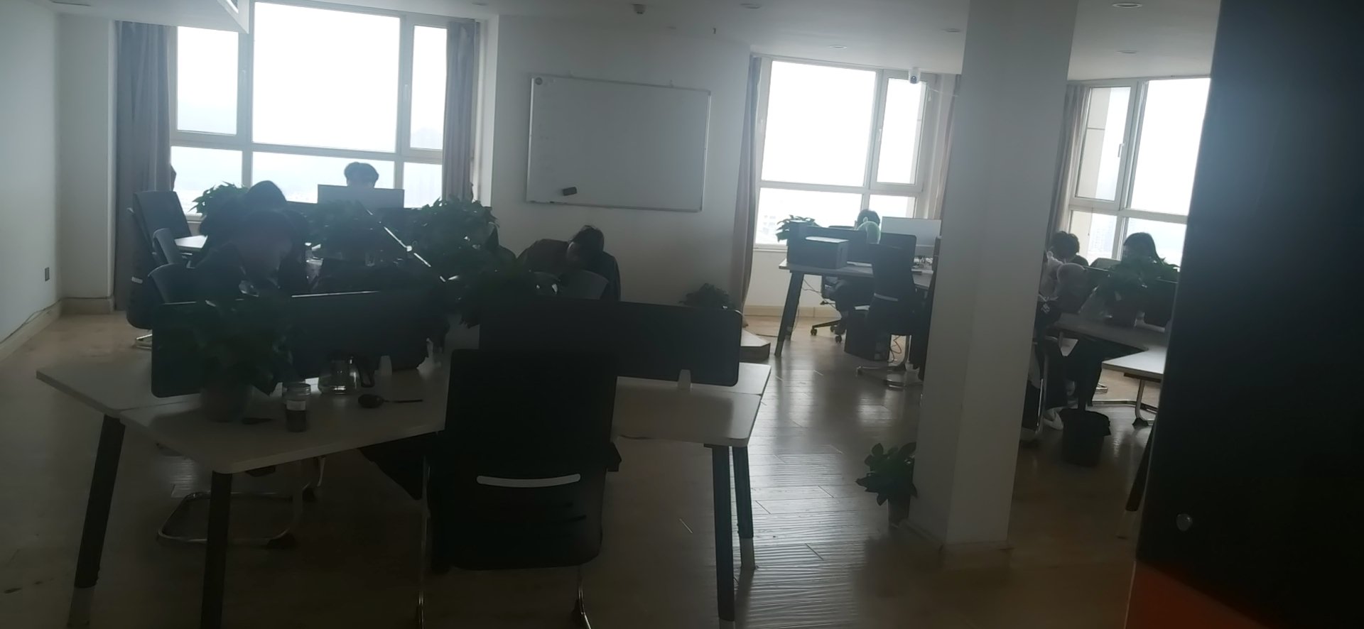 公司相册图片