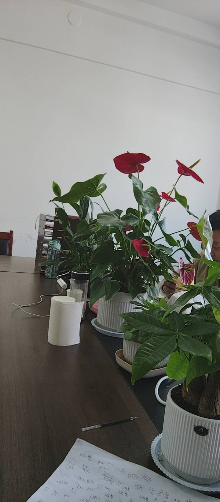 公司相册图片