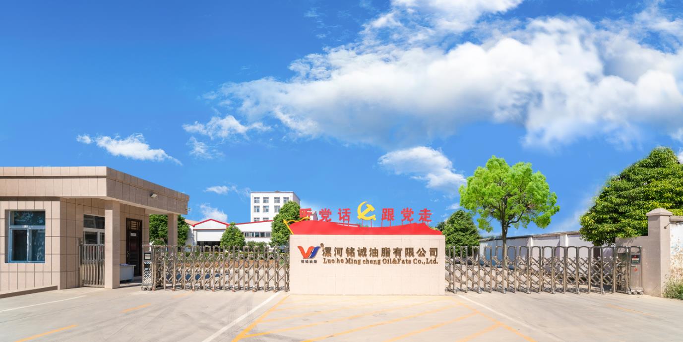 公司相册图片